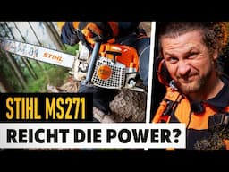 STIHL MS271 - Die kleine MS261 Motorsäge im Test