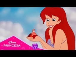 Disney Princesa | O mundo de Ariel