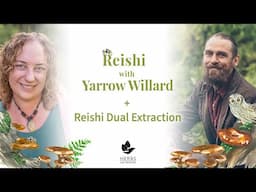 Reishi with Yarrow Willard + Reishi Dual Extract