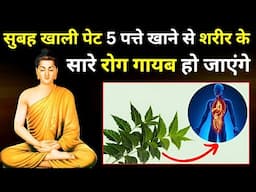 सुबह खाली पेट 5 पत्ते रोज़ खाओ बुढ़ापे तक निरोगी रहो | Buddhist Story on Good Health System