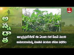 New crop insurance scheme introduced from 2024 rabi in A P | ETV