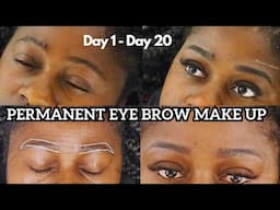 I got micro-shading/ombre powder brows on dark pigmented skin |Before, after & daily healing process