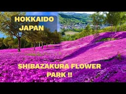 THE BEST PLACES TO SEE IN CENTRAL HOKKAIDO, JAPAN (FURANO, FARM TOMITA, UNKAI, SHIBAZAKURA, BIEI) 4K