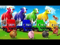 Magical Color Cow Truck Transforms for an Epic Animals Race Adventure | Fun and Thrilling Moments!