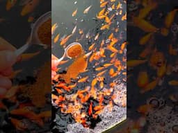 Feeding 1000s Of Stunning Japanese Koi Fish