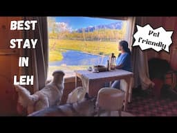 Best stay in Leh | Pet friendly | Shanti Stupa | ChicAsh Chale Ladakh ( Ep : 12 )