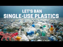 Should the US ban single-use plastics? A science-based lecture.