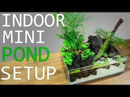 How to Build a No-Filter Pond Aquarium! (Tutorial)