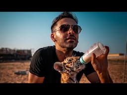 “Save the animals. Save the planet.”  - Saygin Yalcin