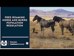 Free-roaming Horse and Burro Population Regulation