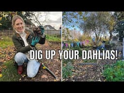 OVERWINTERING THE PLOT / ALLOTMENT GARDENING UK