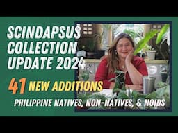 SCINDAPSUS | A Scindapsus Collection Update. 41 New Ones: Philippine Natives, Non-Natives, and NOIDS