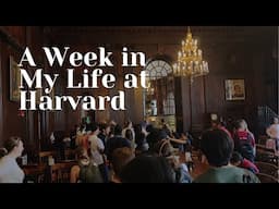 a week in my life at harvard | housing lottery