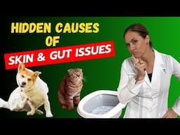 Why Your Pet's Gut & Skin Issues Won't Heal - Hidden Root Causes You Need to Know