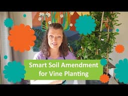 Amend Soil for a Climbing Vine