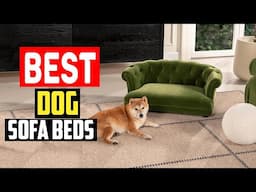 ✅Top 5 Best Dog Sofa Beds, So Your Dog Can Lounge Like People in 2024