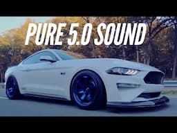 Eric's Ford Mustang GT S550 | Rays 57DR (Sputter Blue)