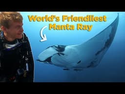 Scuba Diving with Giant Manta Ray!