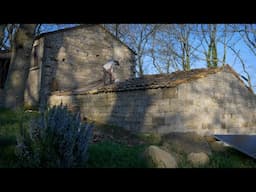 Removing a storm damaged tree, covering the roof, and thinking about landscaping