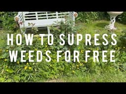 How To Suppress Weeds For Free - Gardening On A Budget | English Rose Garden