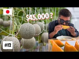 I Tried World's Most Expensive FRUIT in JAPAN 🇯🇵 | EP 12 - THE KING OF MELONS