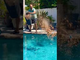 This is a BAD IDEA! Or is it... #Aiper #AiperPools #AiperPoolCleaners