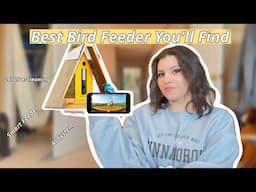 Reviewing The Reli Birddy Smart Feeder