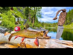 WILD Trout Catch & Cook in Remote Mountains!!! (SOLO Challenge)