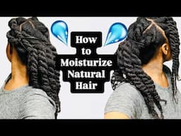 The Ultimate Guide to Moisturizing & Styling Dry Natural Hair