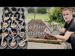 How To Plant Garlic In Autumn / Fall, 15 Varieties Of Garlic, Planting Garlic, Growing Garlic