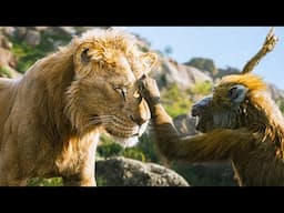 Mufasa: The Lion King - Official Trailer #3 (2024) Disney