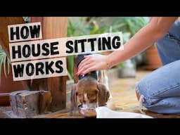 What is House Sitting? The Benefits and Responsibilities