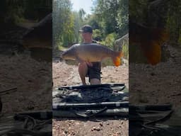 Surface fishing for BIG CARP! 🎣 #fishing #nashtackle #carpfishing