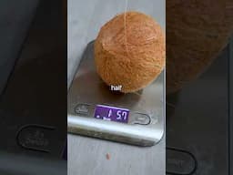 Head vs Coconut