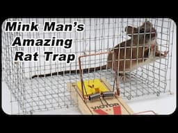 Mink Man's Amazing Rat Trap - How To Catch The Smartest Trap Shy Rats. Mousetrap Monday