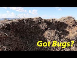 Wood Chips = Bug Bonanza? + Q&A  | The Desert Farmer Podcast -  Episode 38