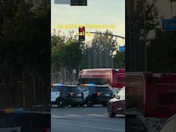 #246 La policía tampoco se salva… accidente en Long Beach