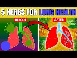 🌿 5 Powerful Herbs for Lung Health: Clear Mucus, Combat COPD, & Kill Viruses!