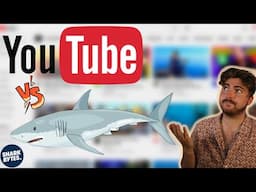 How Can YouTube Help Sharks?