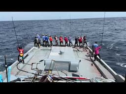 FULL VIDEO OF CATCHING 13 TONS OF SKIPJACK TUNA 🎣