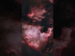 The North America Nebula 🔭 #stargazing #telescope