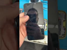 iPhone 11 screen repair.  Blank screen???