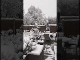 Woke up to SNOW in Shropshire! November 2024 #snowfall #snow2024 #snowday