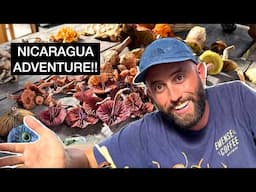 Foraging RARE Mushrooms in Nicaragua's Jungle! EPIC TRIP!