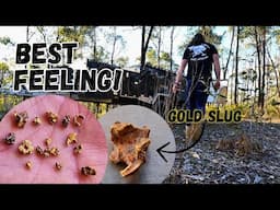 BEST GOLD PROSPECTING TRIP IN A LONG TIME!