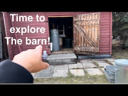 We bought everything on site!Let’s explore the barn! Pt 3