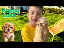 Oliver and Lucas Pet the Cutest Animals in the World 🐶 Cute Puppies 🐾  Educational Videos for Kids