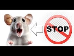 energetic rodent repellent - rats do not tolerate the frequency and run away