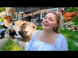 Introducing You To All My Farm Animals (so much animal lore)