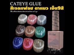 (( สีเจลแฟลช ตาแมว )) ชุด9สี HANBI Flash Diamond Cat Eye Gel